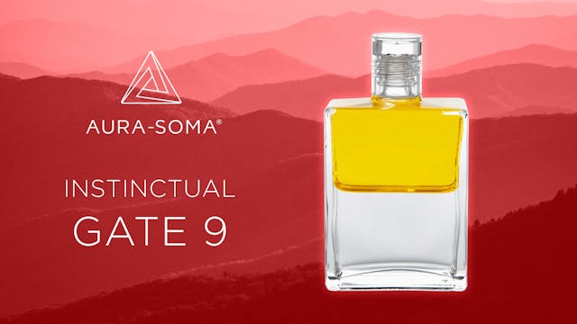The Gates - Instinctual - GATE 9