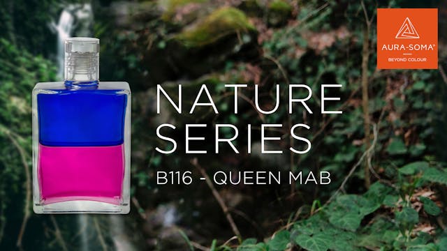 Nature Series | B116 - Queen Mab