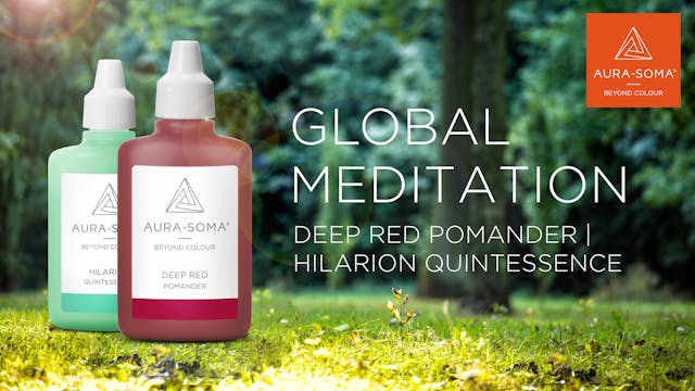 22. Global Meditation | Deep Red Poma...