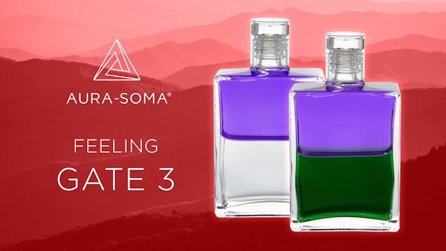 The Gates - Feeling - GATE 3