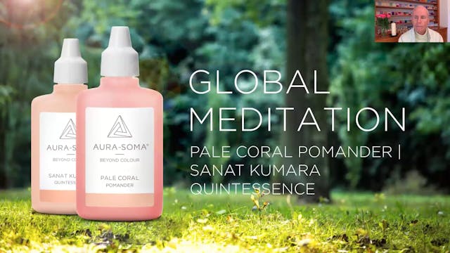 59. Global Meditation | Pale Coral Po...