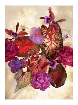 Gary Heery-Art Photography