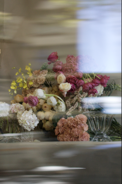 Collaboration The forist and the Photographer