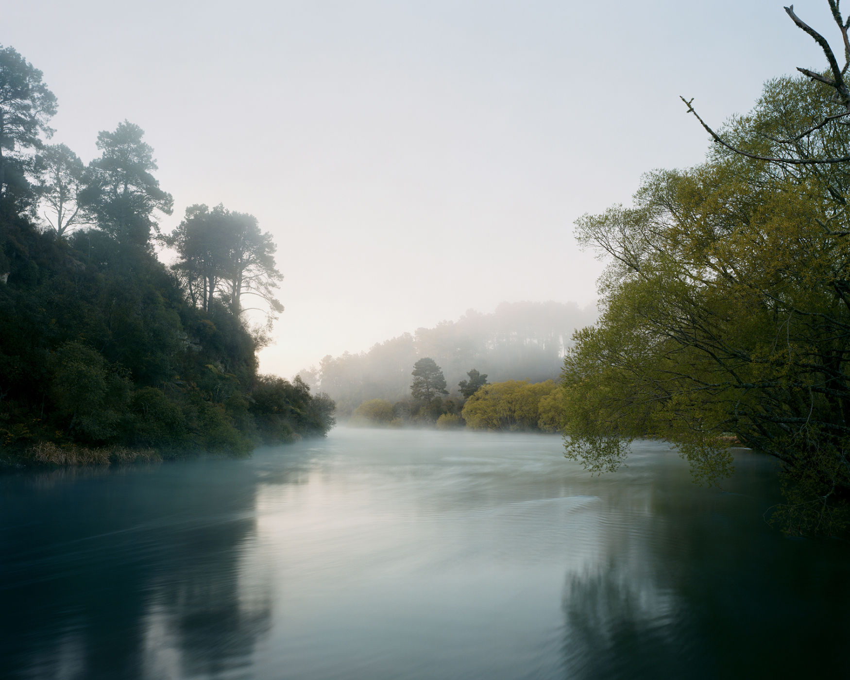 Mercy Mercer-Landscapes