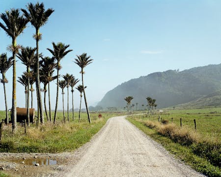 The Terrible Boredom of Paradise-Land...