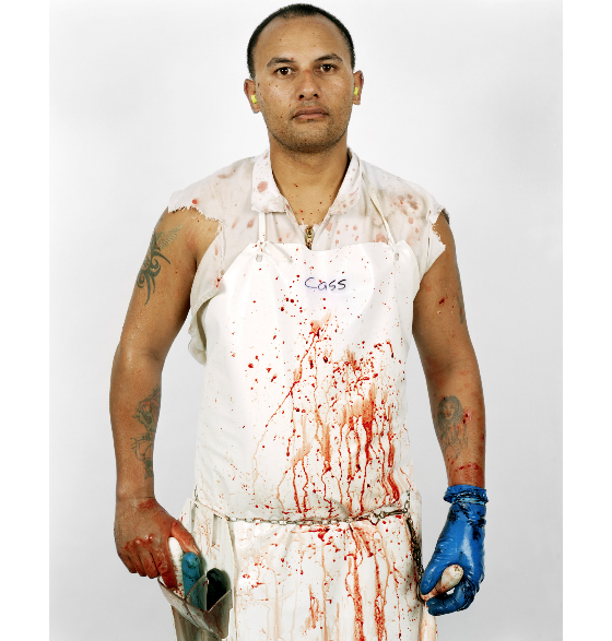 Waitoa Slaughter House-Portraits