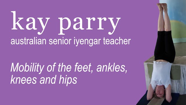 7. Mobility of the feet ankles knees and hips Sept 27