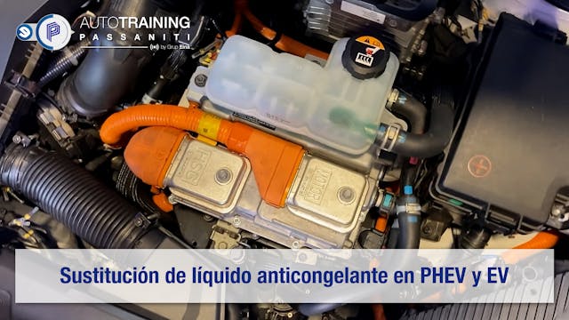 Sustitución de líquido anticongelante en PHEV y EV