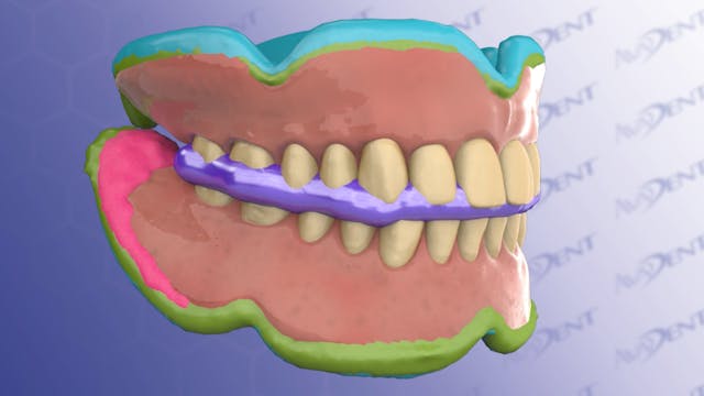 BTI Three-Appointment Reference Dentu...