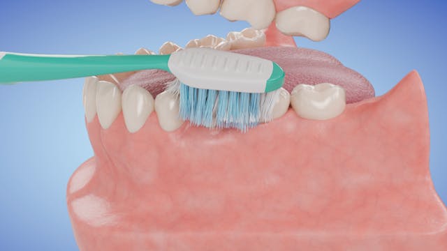 Brushing Your Teeth