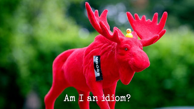 Season 20, Ep 8 - 'Am I an idiom?'