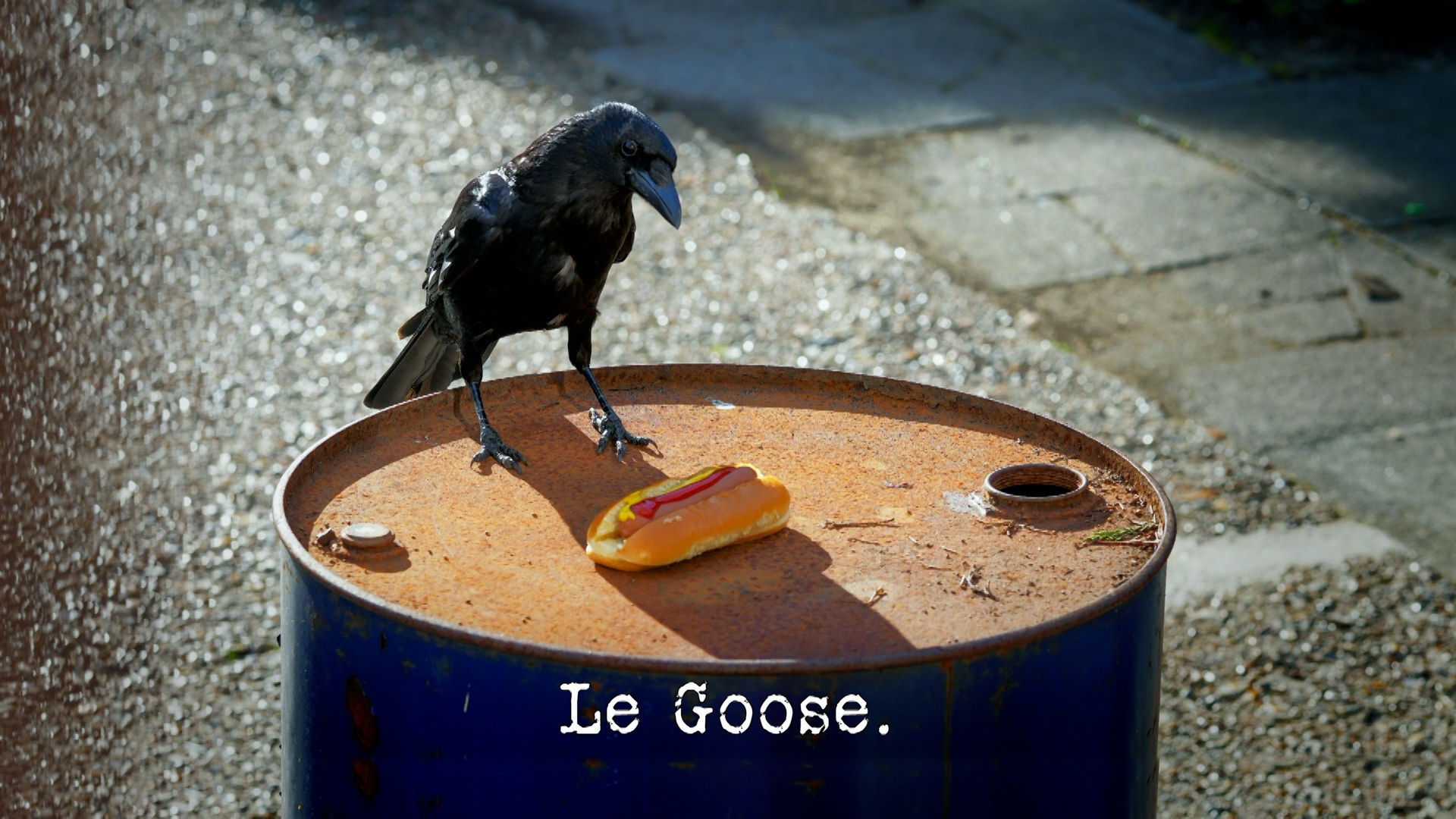Season 18, Ep 10 - 'Le Goose.' 