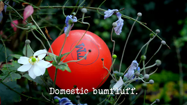 Season 21, Ep 10 - 'Domestic bumfluff.'