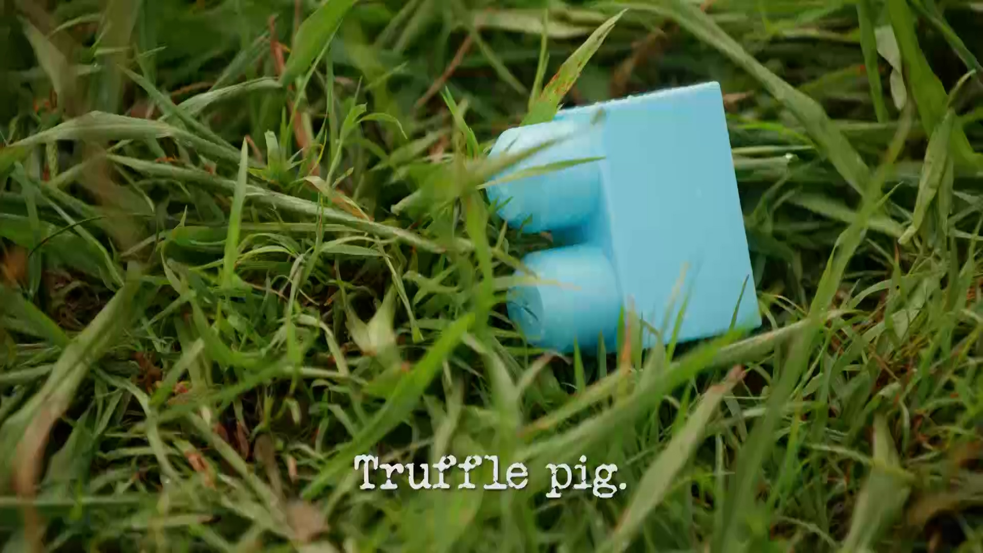 Season 4, Ep 9 - 'Truffle pig.'