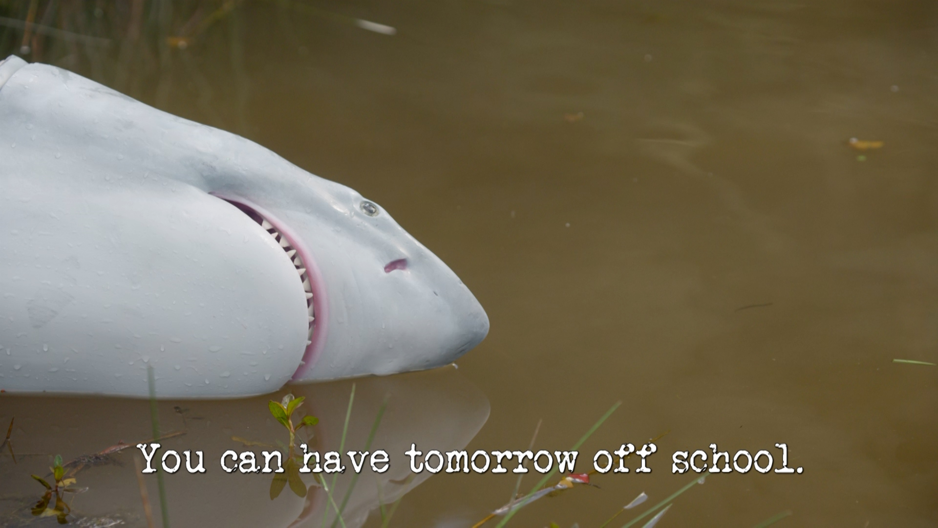 Season 4, Ep 8 - 'You can have tomorrow off school.'