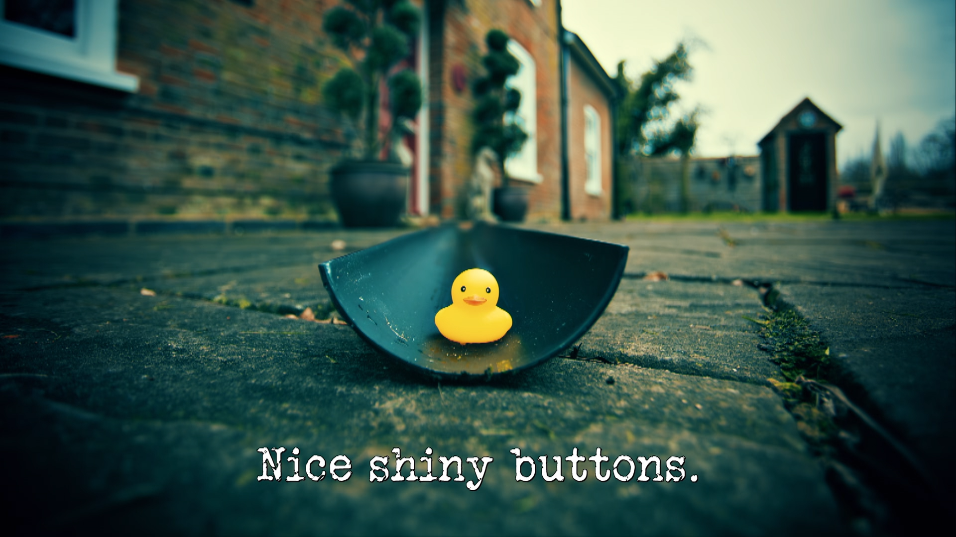 Season 1, Ep 5 - 'Nice shiny buttons.' Junior Taskmaster