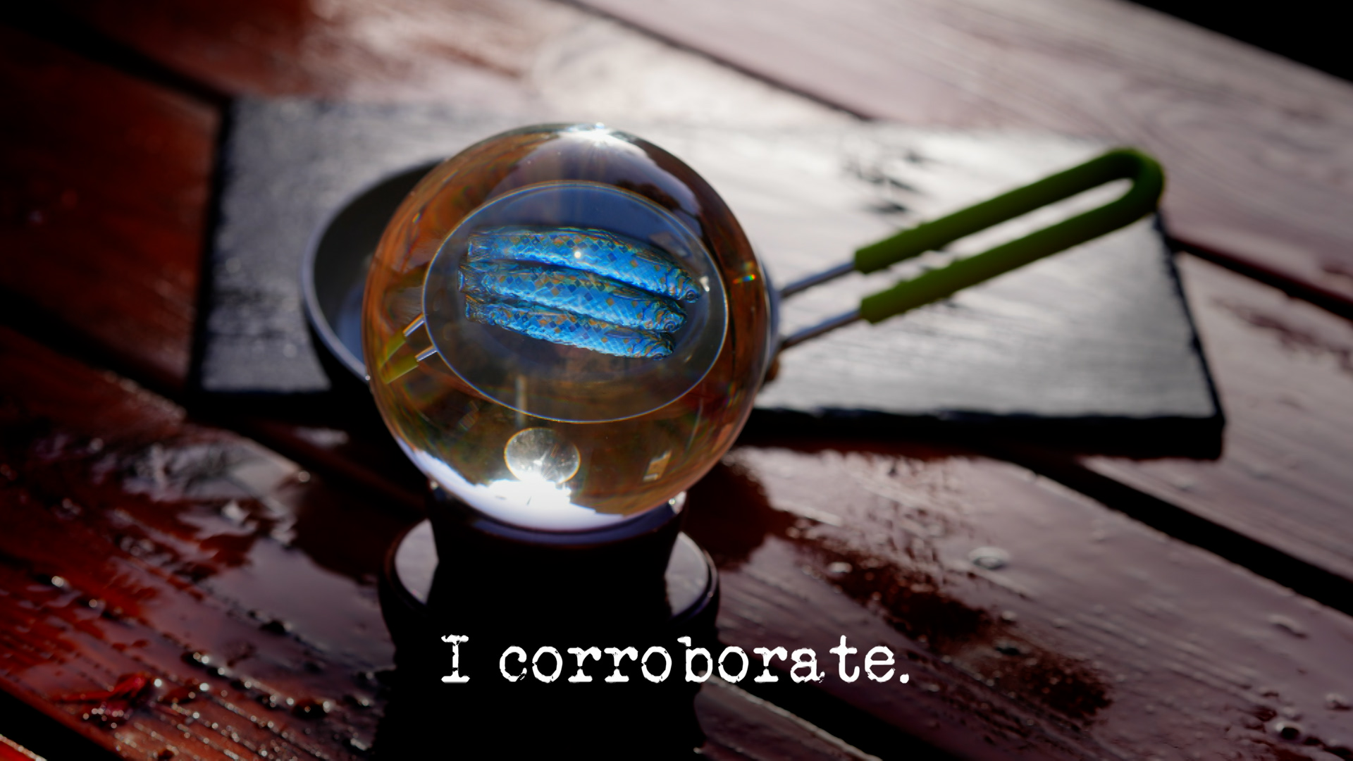 Season 21, Ep 5 - 'I corroborate.'