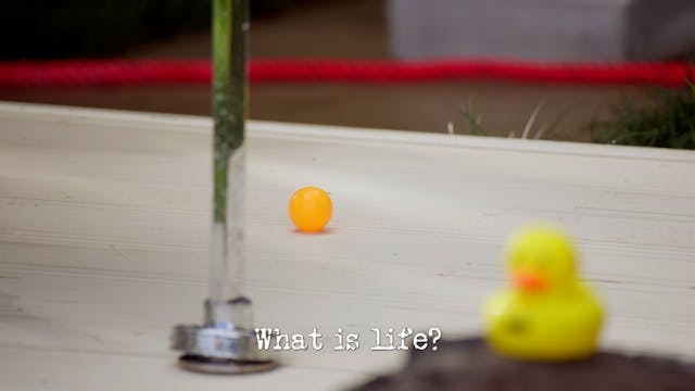 Season 4, Ep 2 - 'What is life?'