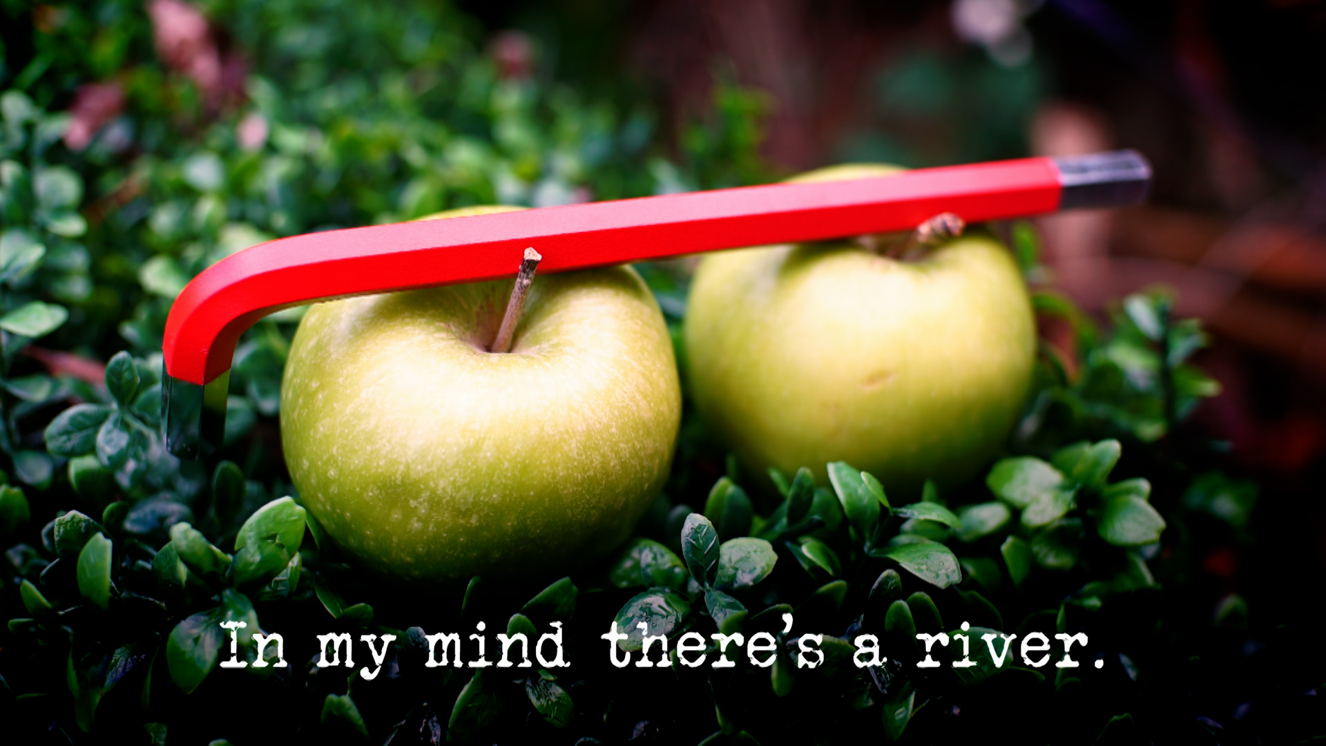 Season 22, Ep 1 - 'In my mind there’s a river.'