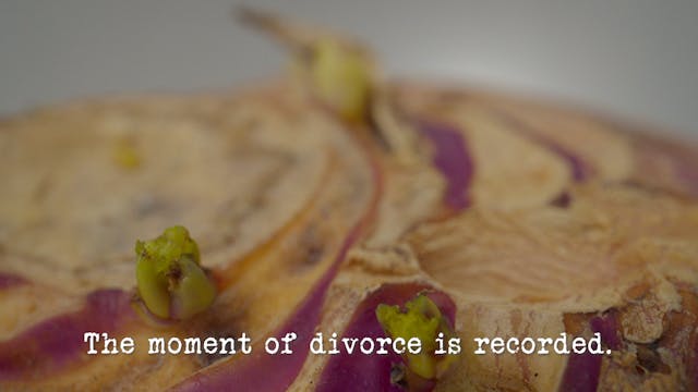 Ep 5 - 'The moment of divorce is reco...