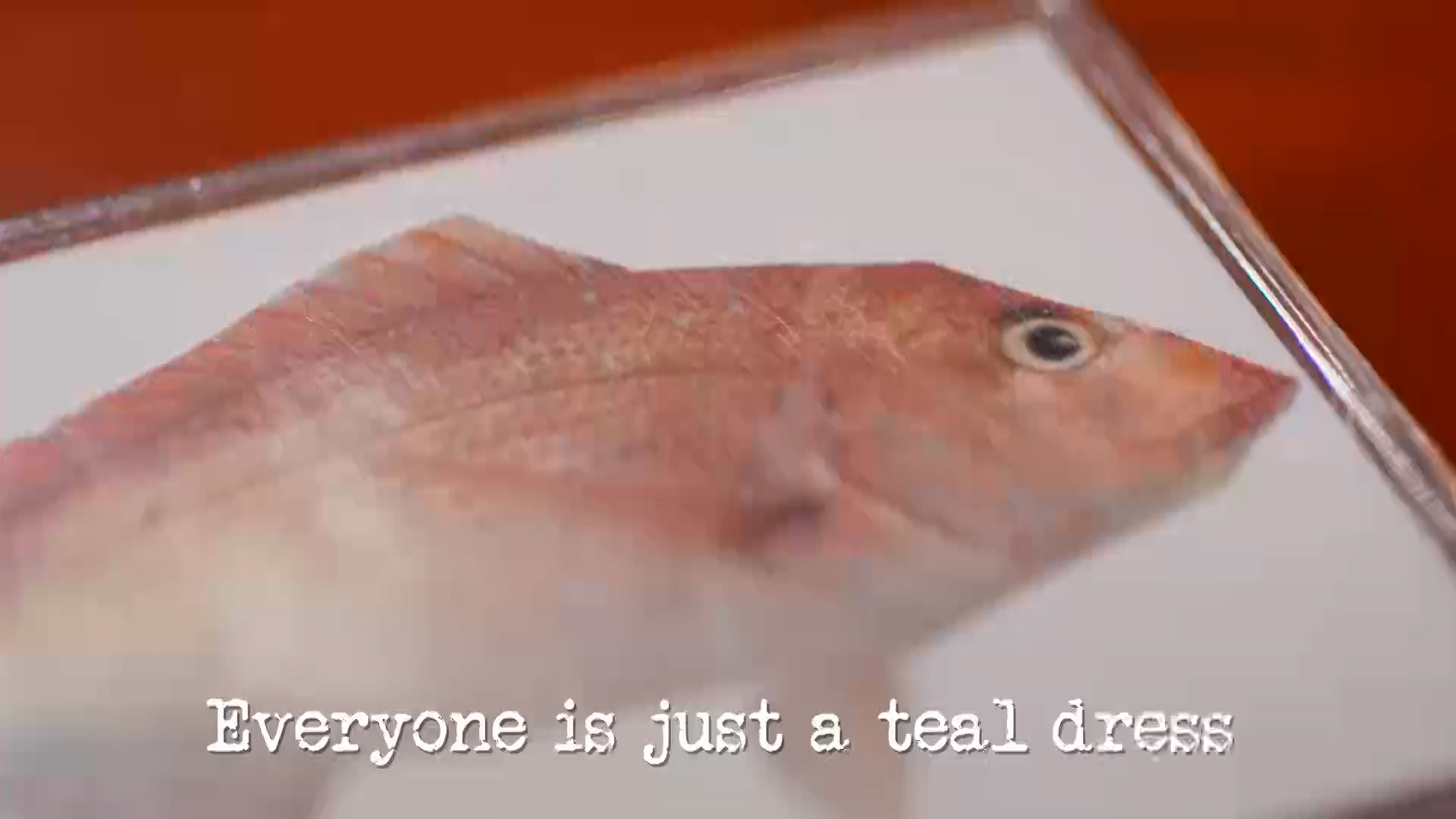 Season 4, Ep 3 - 'Everyone is just a teal dress.'