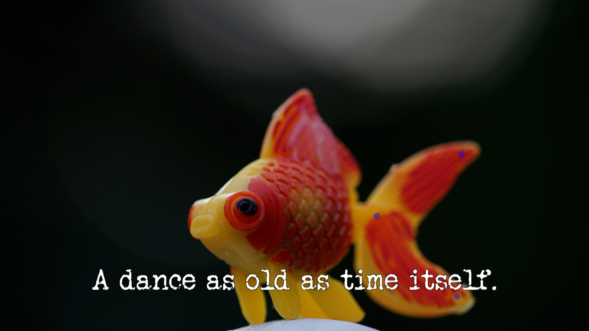 Season 18, Ep 6 - 'A dance as old as time itself.' Taskmaster UK