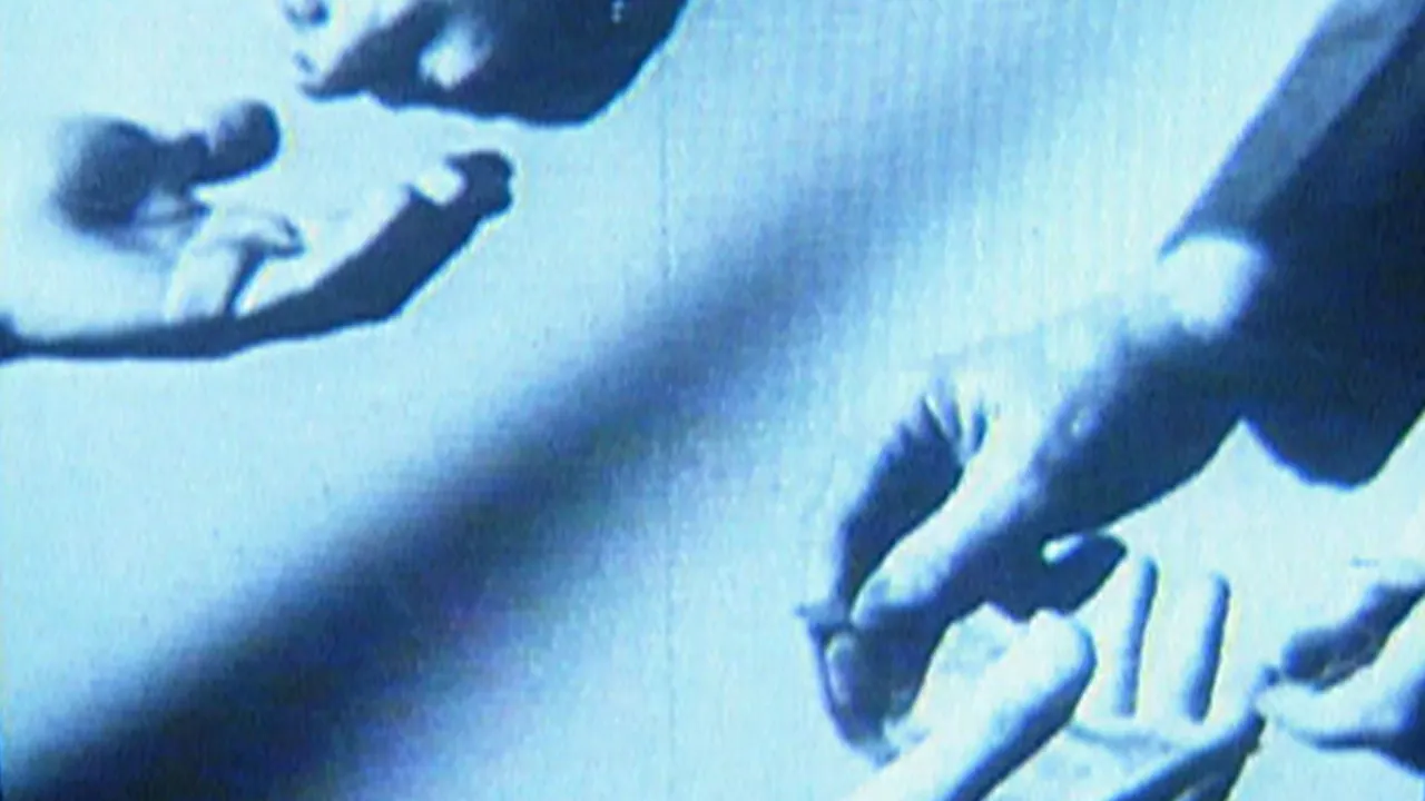 The Expression of Hands