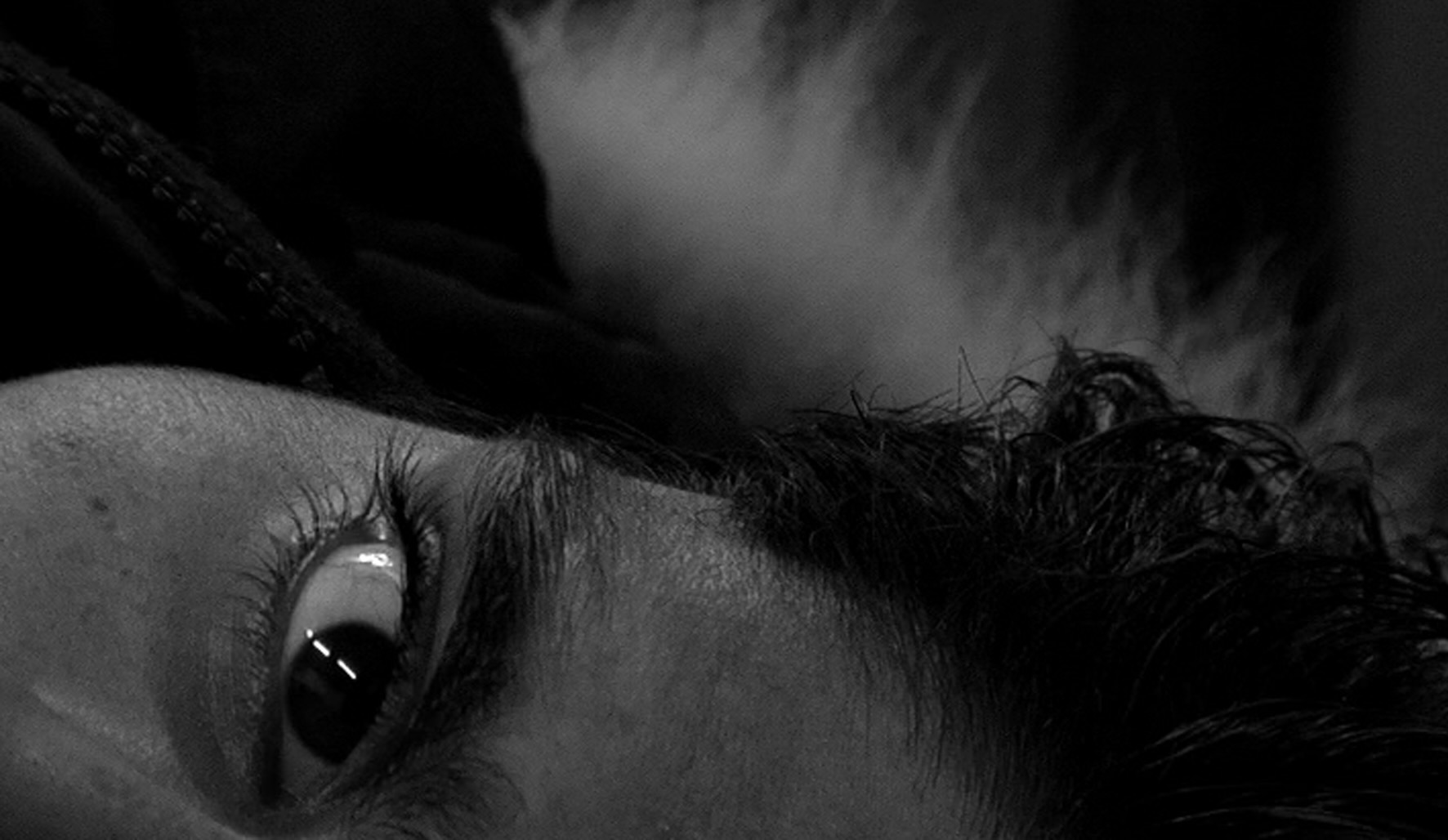 Not Waving, But Drowning (Elias Grootaers, 2009)