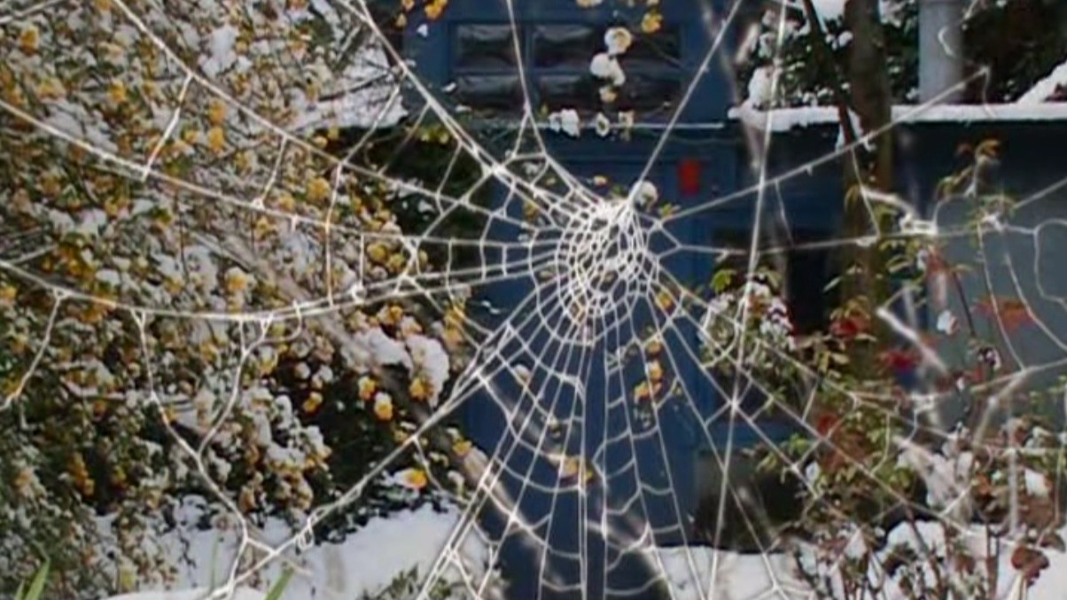 Les films rêvés (Eric Pauwels, 2010)