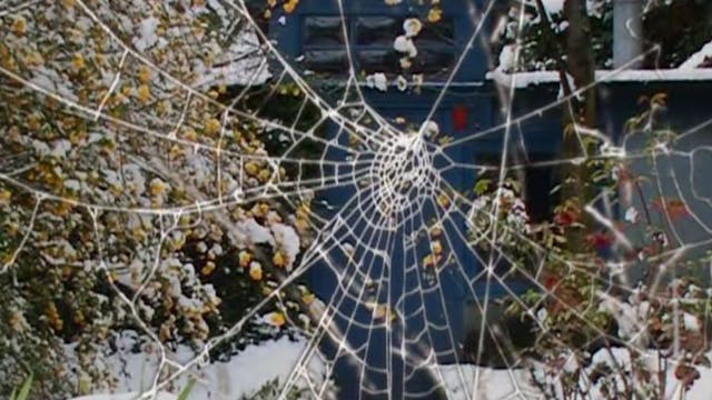 Les films rêvés (Eric Pauwels, 2010)