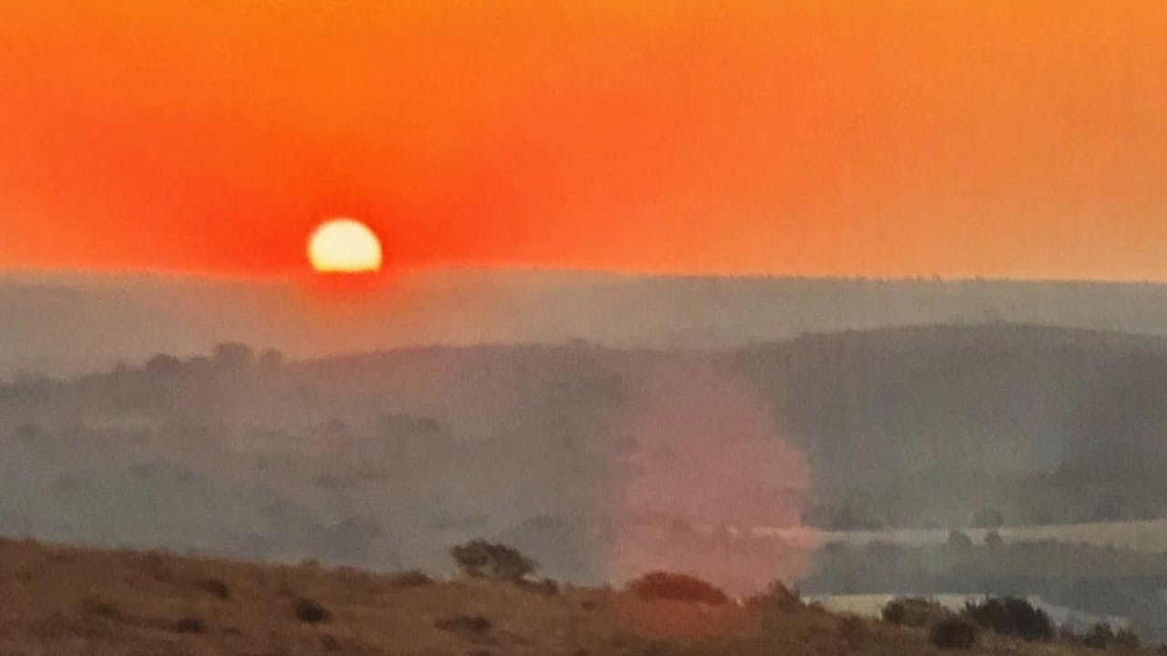 Shorts Programme: Longing / Belonging