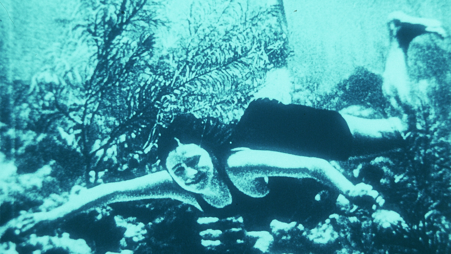 Archipels nitrate (Pazienza Claudio, 2009)