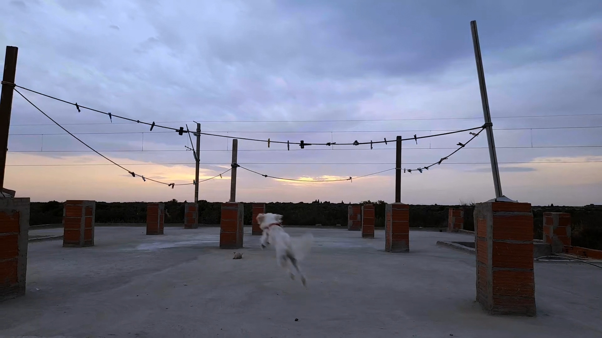 Shorts Programme: Longing / Belonging