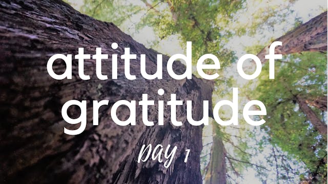 Chakra Yoga for Gratitude Day 1 | Root Chakra