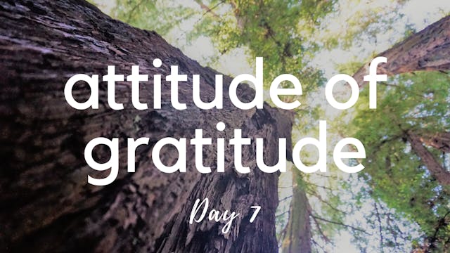 Chakra Yoga for Gratitude Day 7 | Crown Chakra
