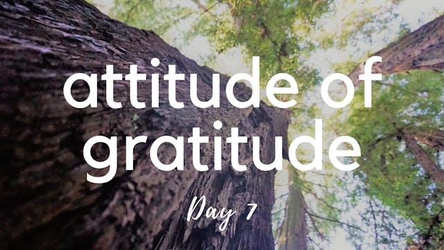 Chakra Yoga for Gratitude Day 7 | Cro...