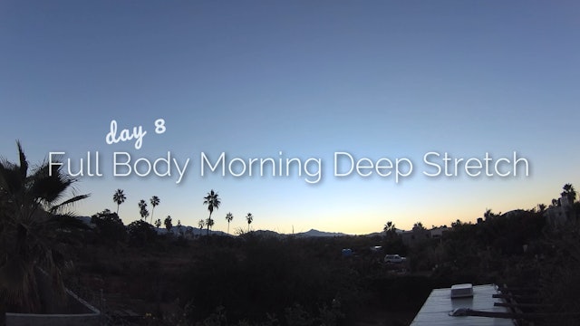 Day 8 | Full Body Morning Deep Stretch | 30 Day Morning Yoga Journey