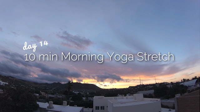 Day 14 | 10 min Morning Yoga Stretch | 30 Day Morning Yoga Journey