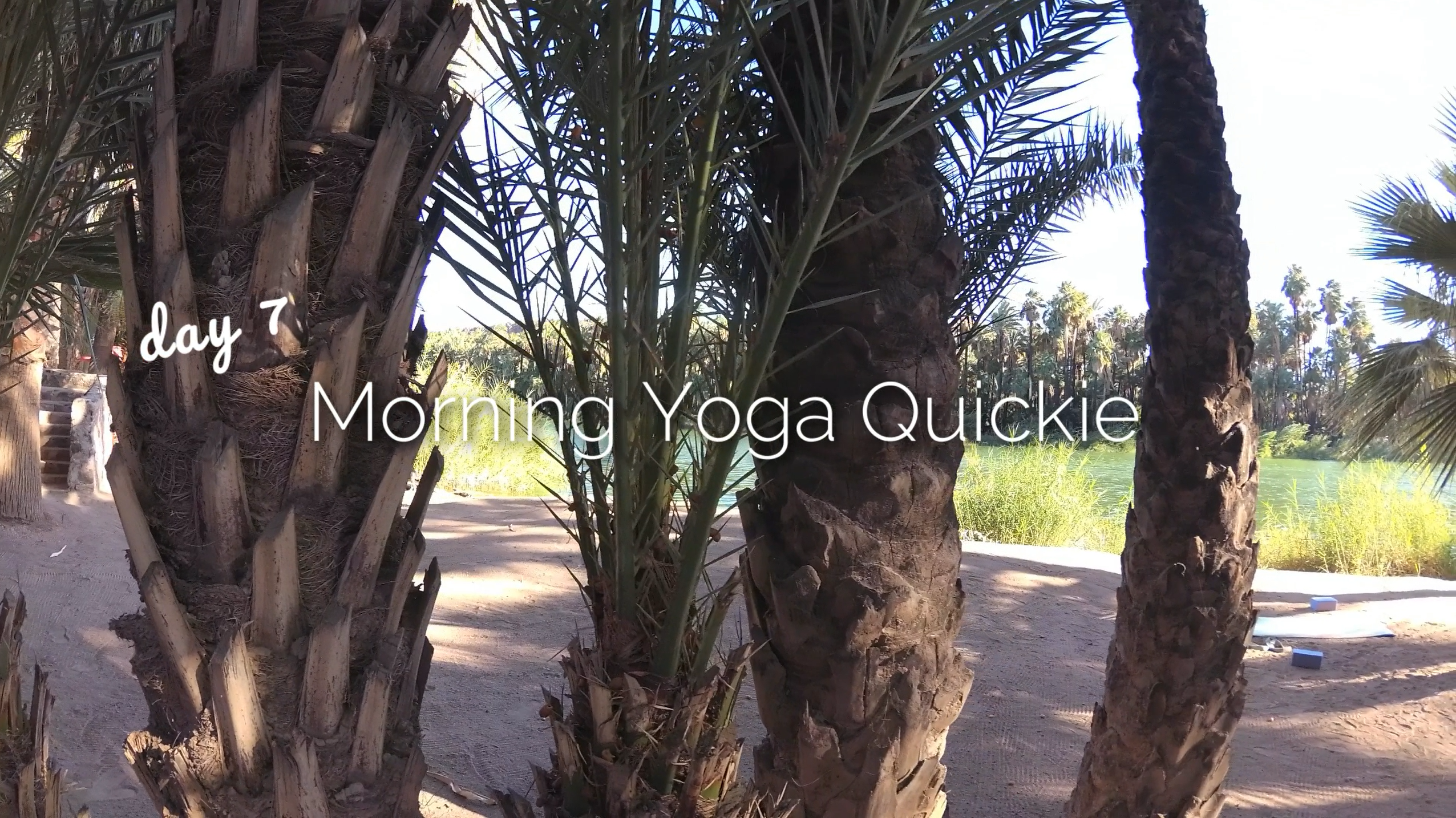 Day 7 | 14 min Vinyasa Morning Yoga Quickie | 30 Day Morning Yoga Journey