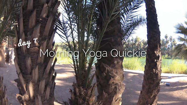Day 7 | 14 min Vinyasa Morning Yoga Quickie | 30 Day Morning Yoga Journey