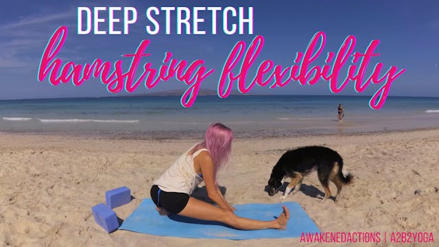 Deep Stretch Yoga for Hamstring Flexibility | 30 min Yoga for Tight Hamstrings