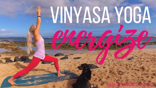 Afternoon Pick Me Up Yoga 10 Min Yoga Quickie Yoga To Energize Body Mind 28 Days Accept Grace Embrace Love Yoga Training Plan Awakened Actions A2b2 Yoga