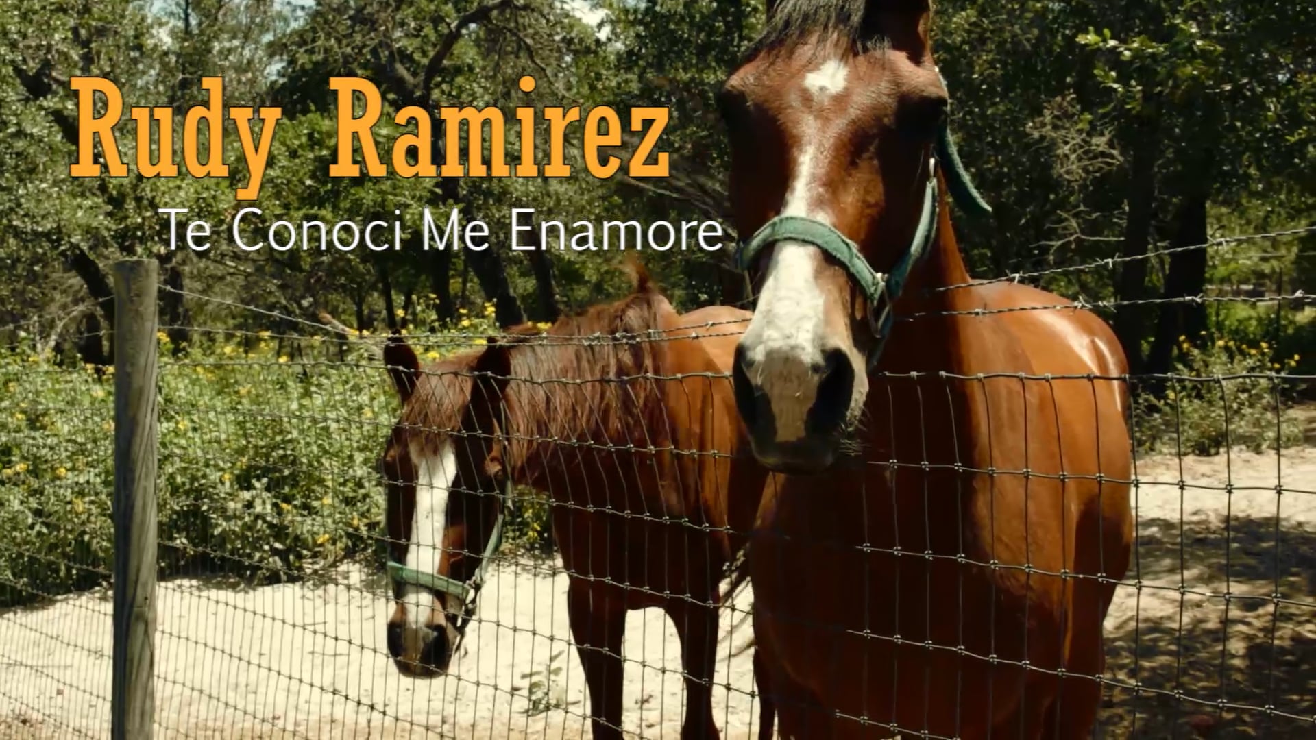 Rudy Ramirez "Te Conoci Ee Enamore" 