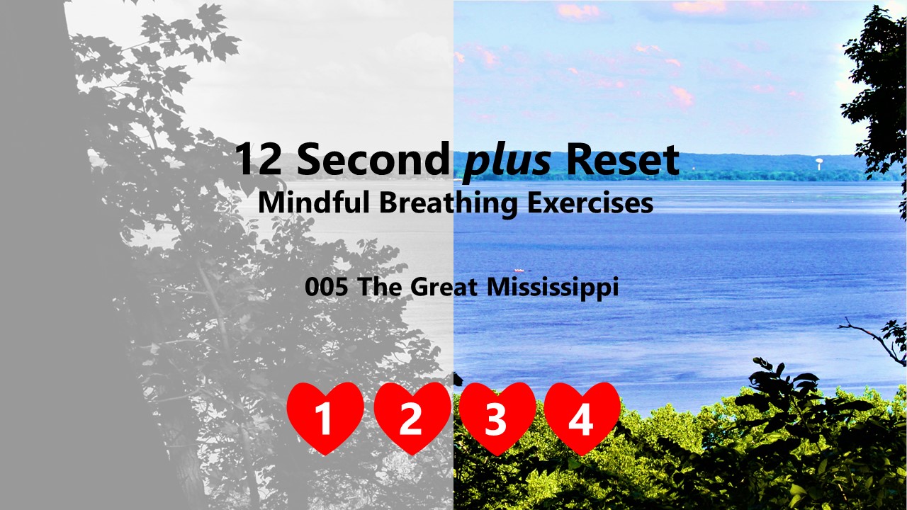 12 Second plus Reset - The Great Mississippi