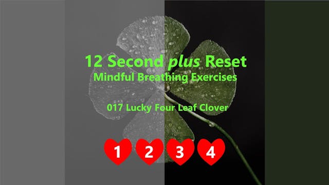S1 E10 017 Lucky Four Leaf Clover