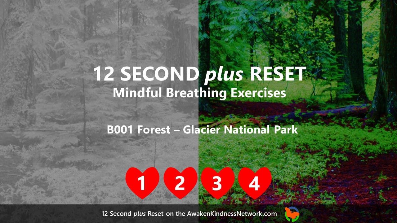 Forest Glacier National Park Mindful Breathing
