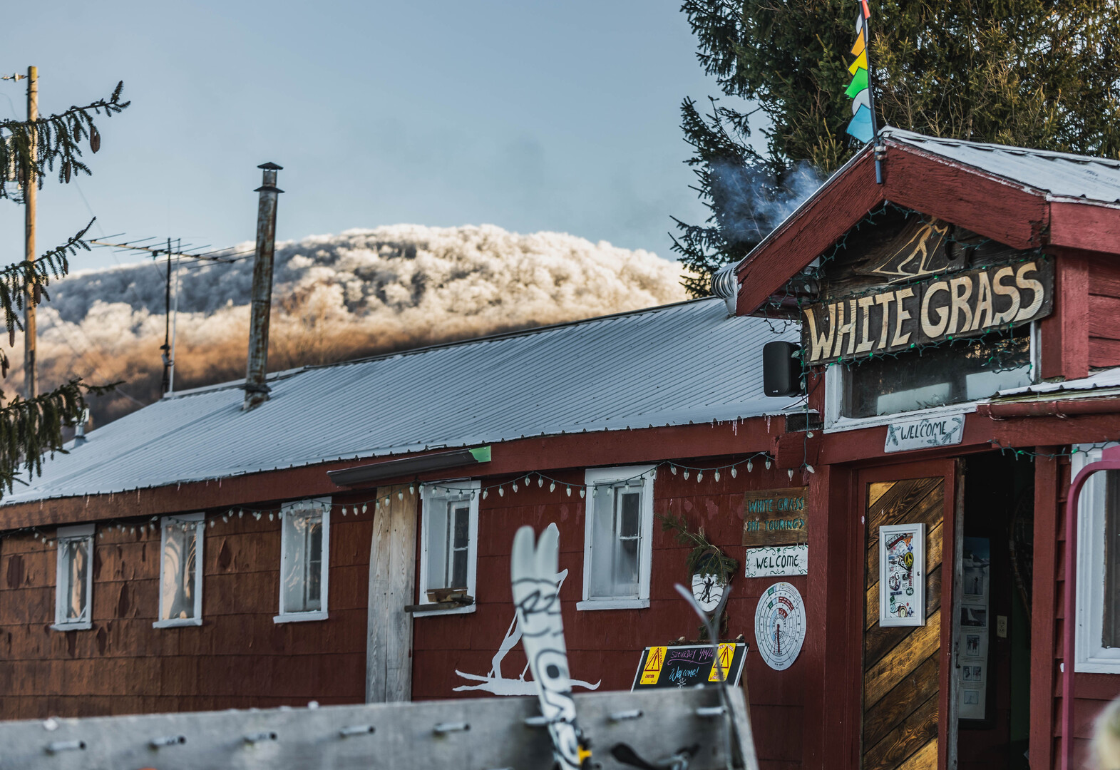 Freeland - A White Grass Story