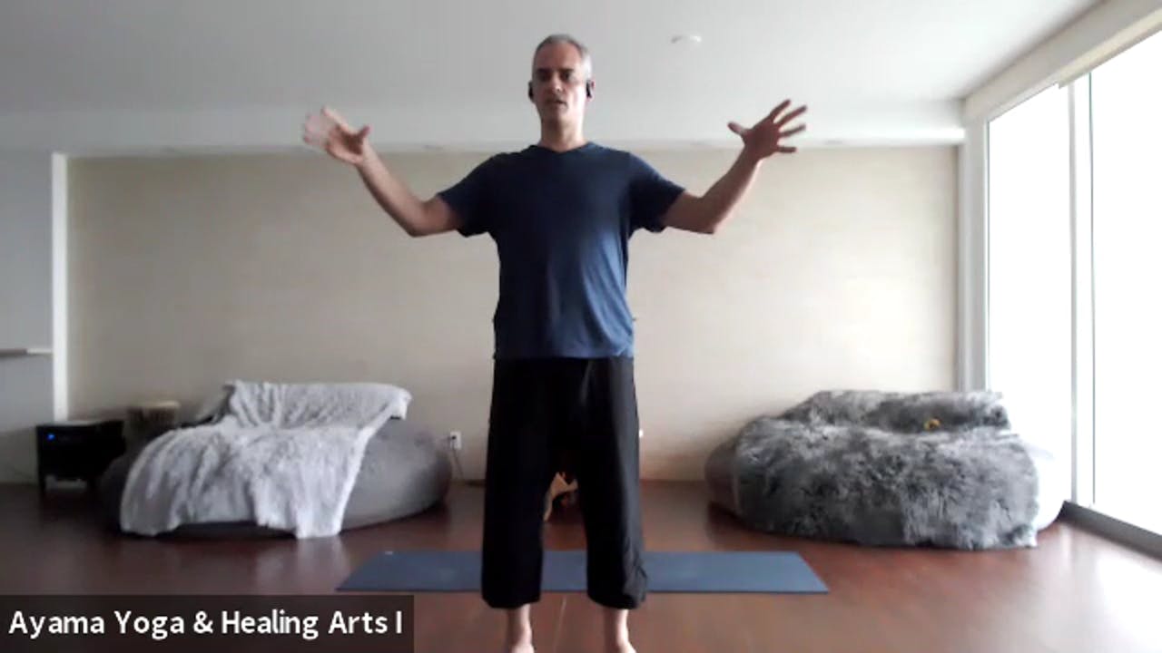 Class 014 - Qigong with Mano