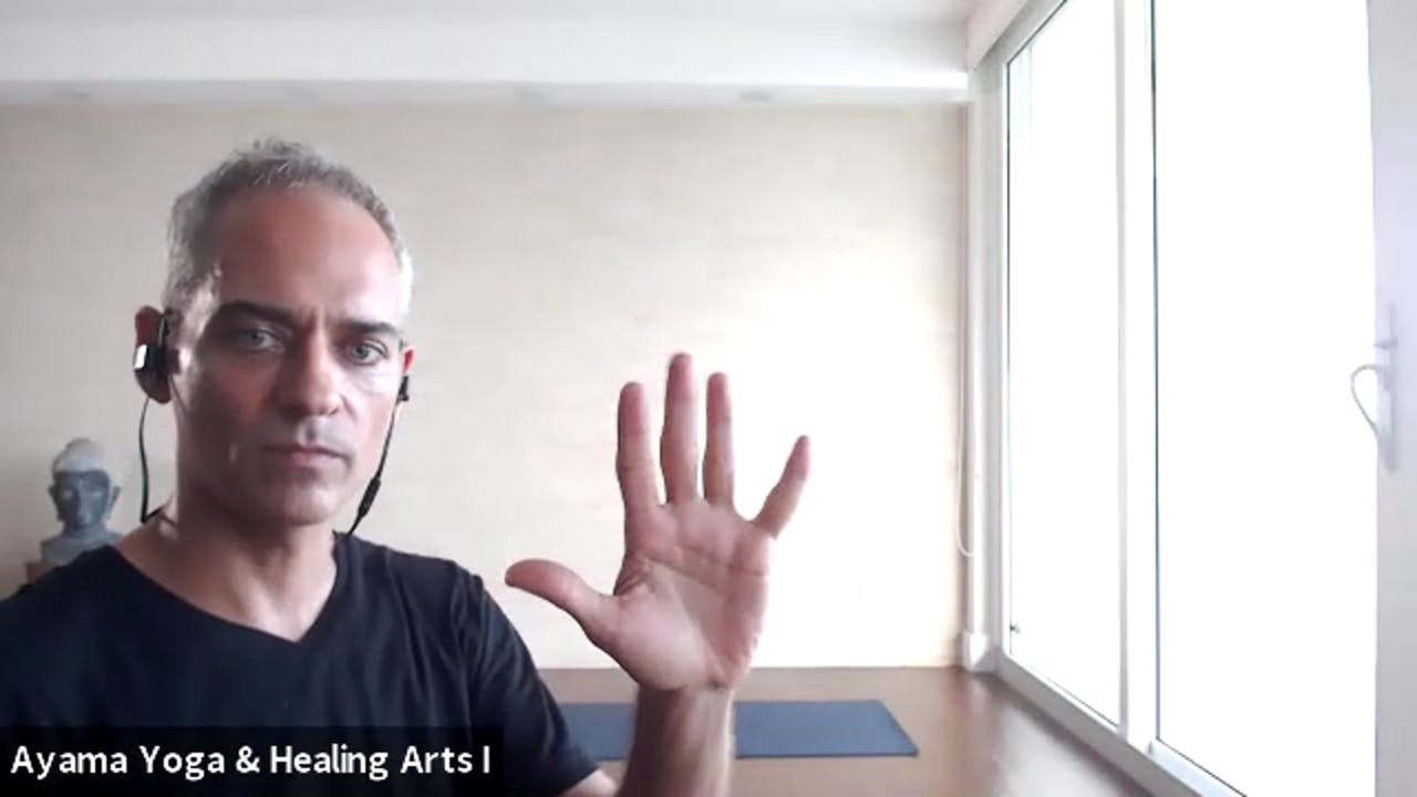 Class 021 - Qigong with Mano