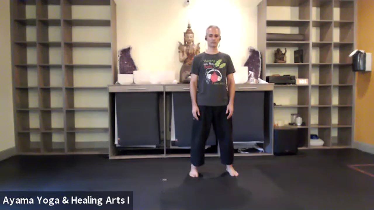 Class 011 - Qigong with Mano